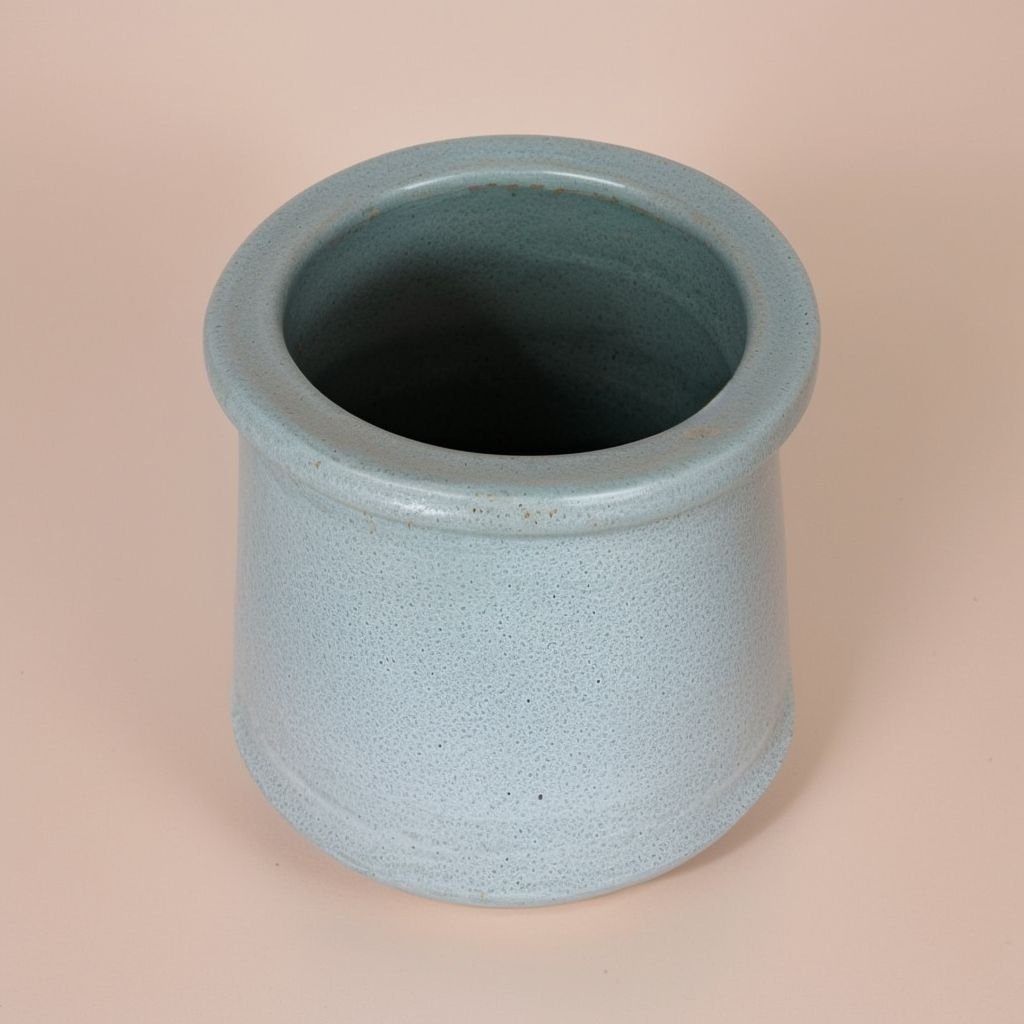 Drzewo cytrusowe w doniczce