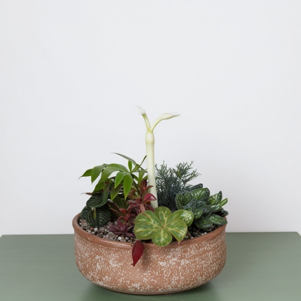 Sadzenie sukulentów w koszyku M