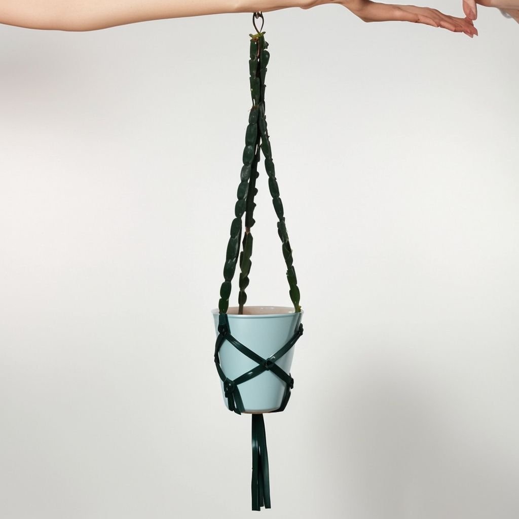 Niebieska wisząca doniczka makrama - obrazek 3