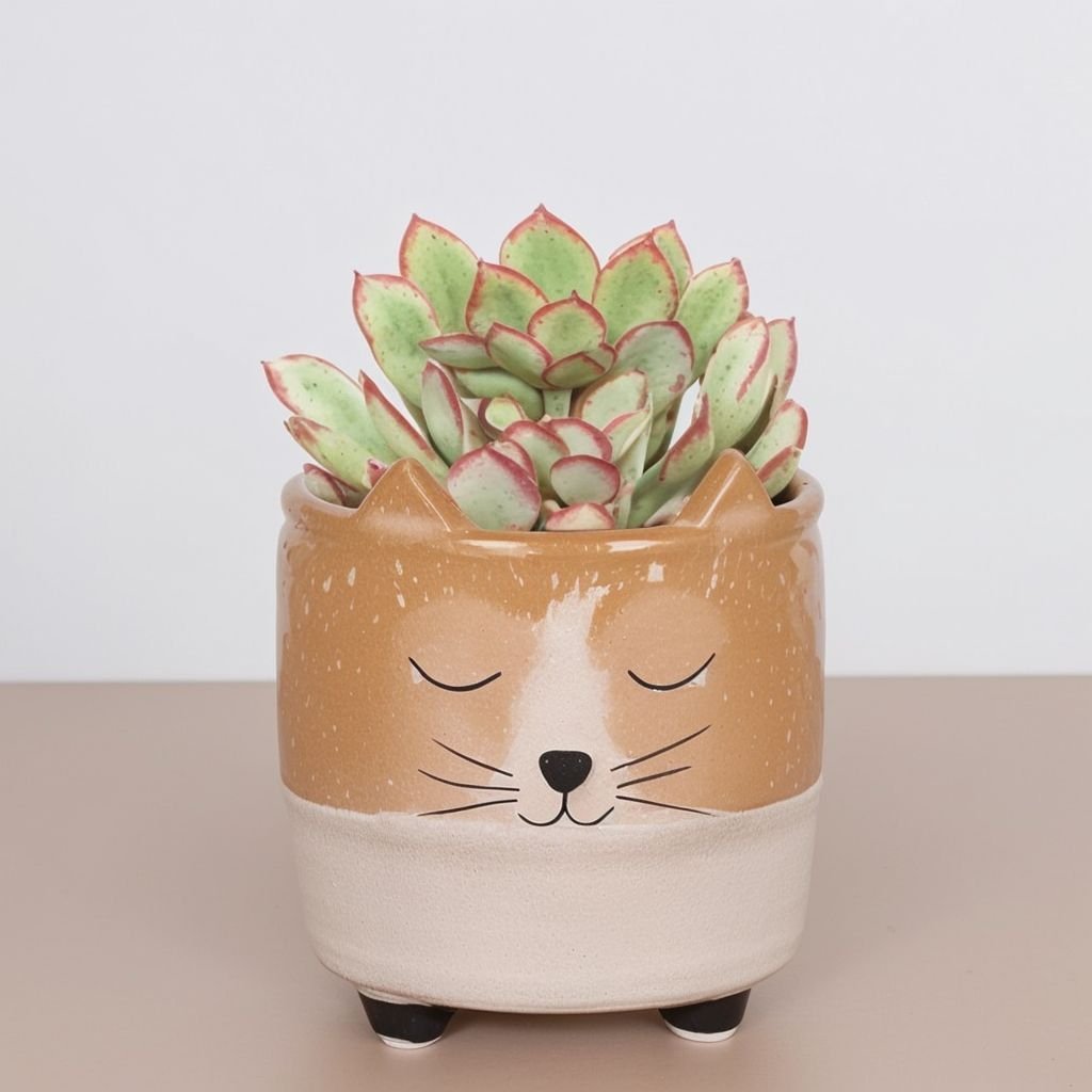 Doniczka dla kota z uszami - obrazek 2